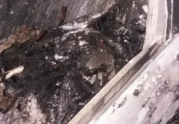 Alcobaça: Homem é assassinado e corpo queimado no interior de veículo no distrito de São Bernardo 