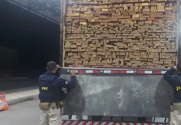 PRF apreende quase 40 m³ de madeira transportada de forma ilegal pela Bahia