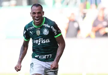 Palmeiras vence o Fluminense e se aproxima do 12º título brasileiro